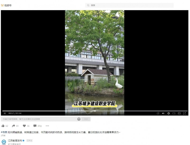 江苏教育发布视频号：寻美校园夏季美景